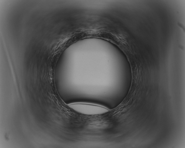 X0000102031301200807180957