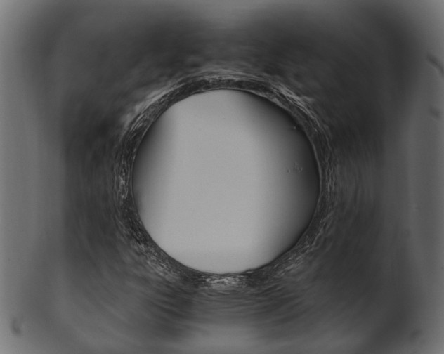 X0000102031303200807180957
