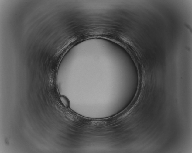 X0000102031305200807180957