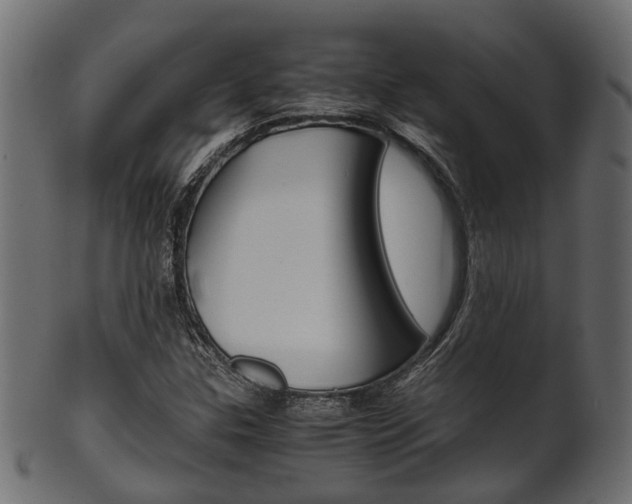 X0000102031307200807180957