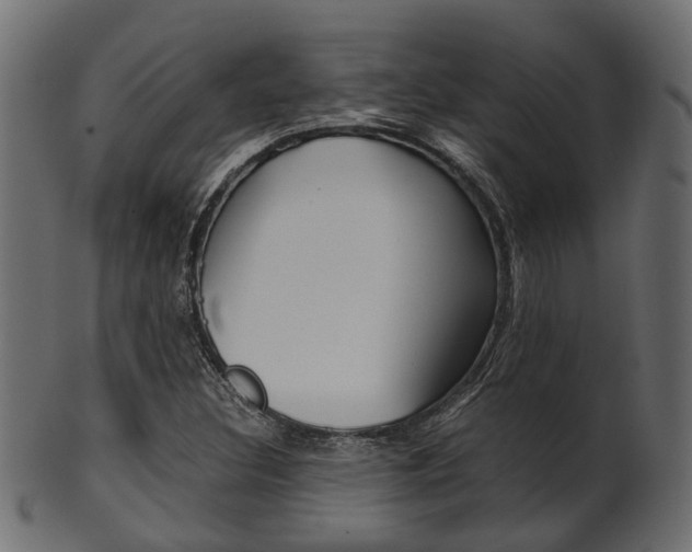 X0000102031308200807180957