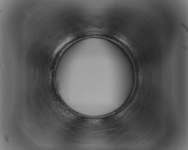 X0000102031309200807180957