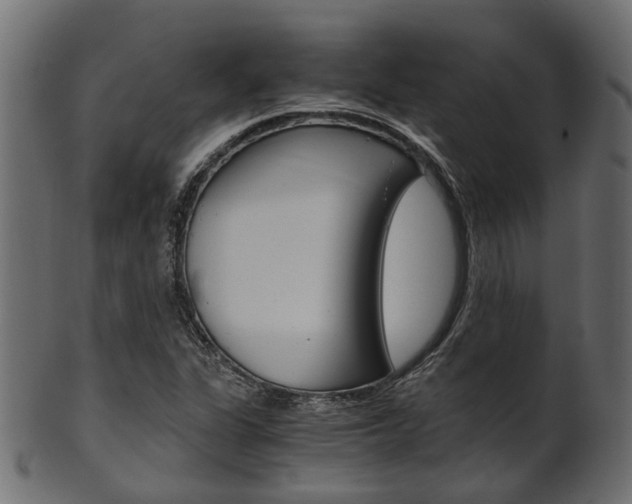 X0000102031311200807180957
