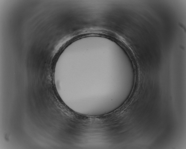 X0000102031312200807180957