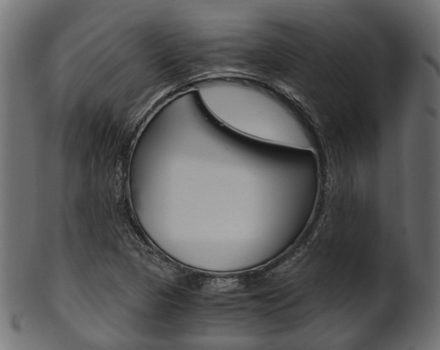 X0000102031313200807180957