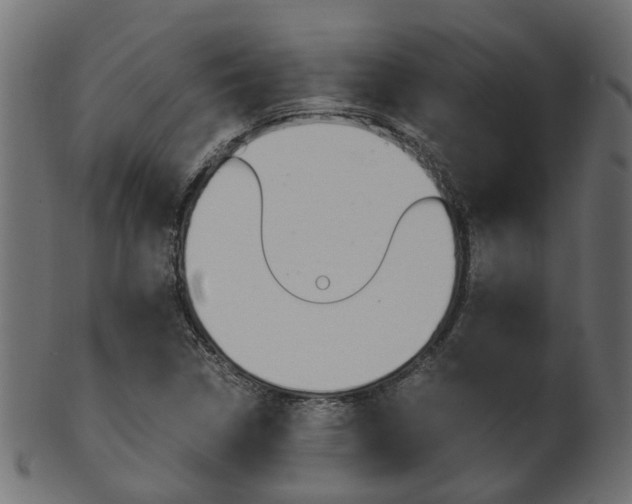 X0000102031314200807180957