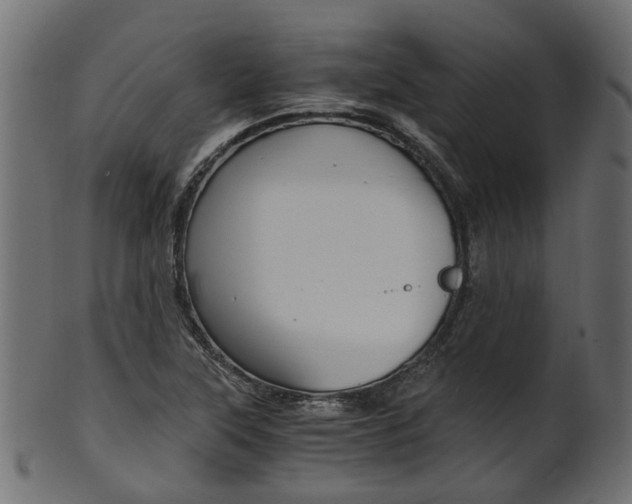 X0000102031315200807180957