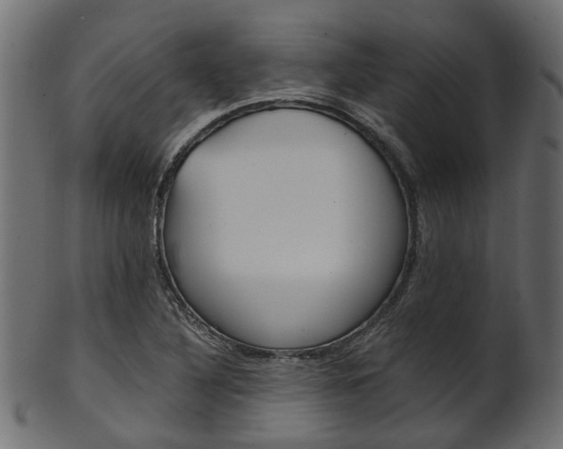 X0000102031316200807180957