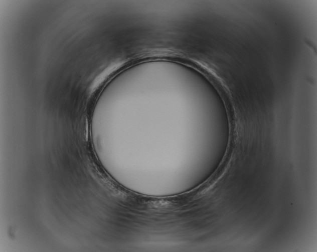 X0000102031317200807180957