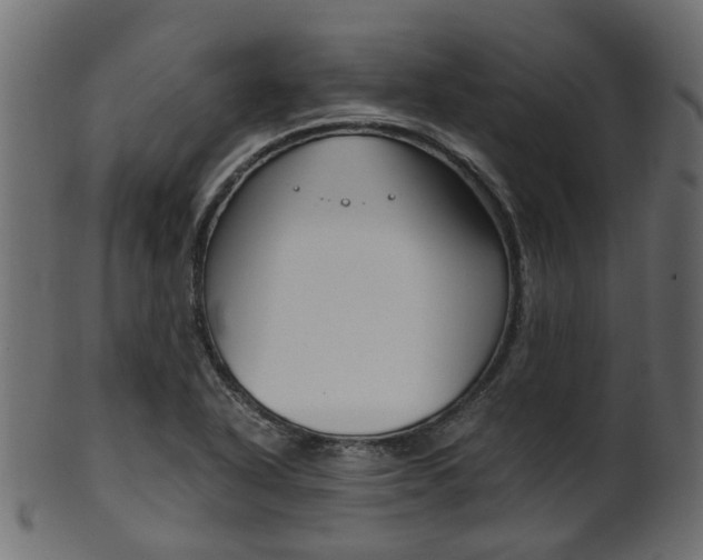 X0000102031318200807180957