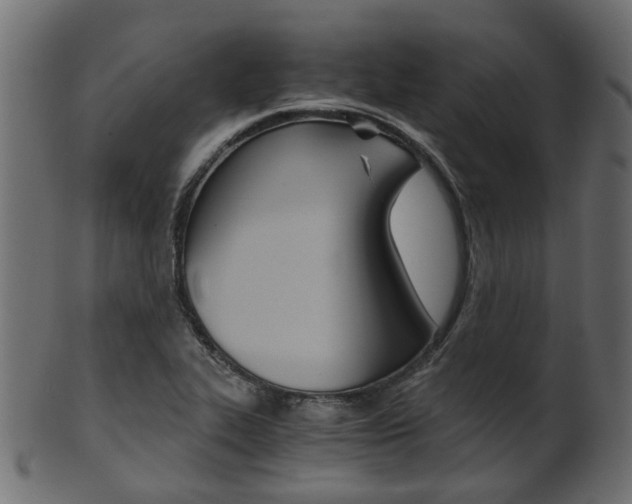 X0000102031319200807180957