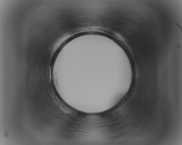 X0000102031320200807180957