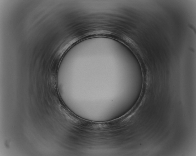 X0000102031321200807180957