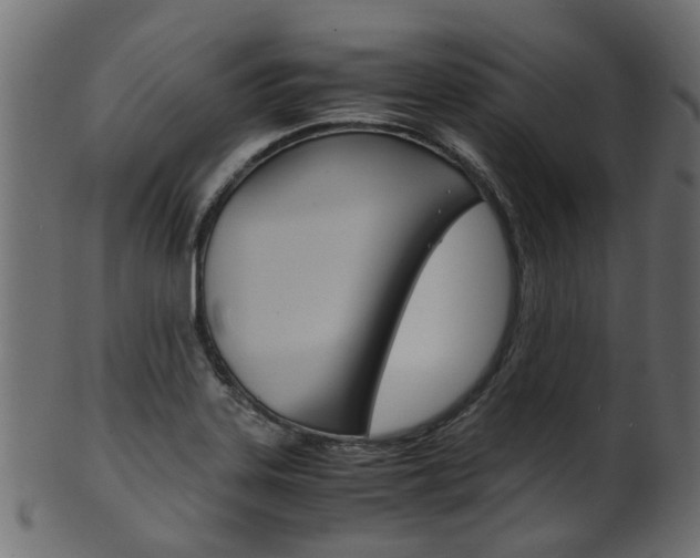 X0000102031323200807180957