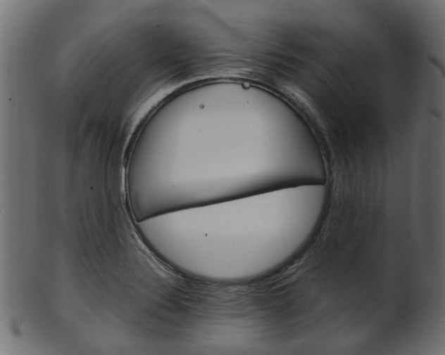 X0000102031324200807180957