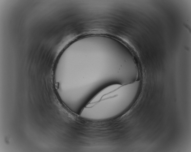 X0000102031325200807180957