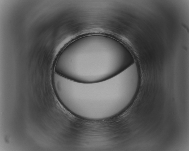 X0000102031326200807180957