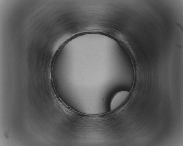 X0000102031328200807180957
