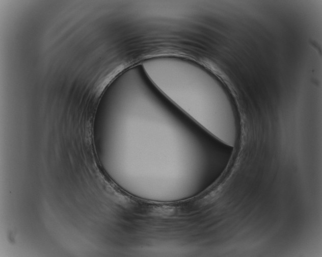 X0000102031329200807180957