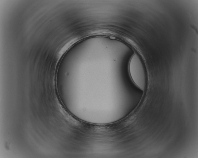 X0000102031330200807180957