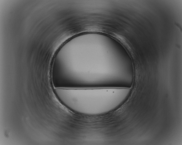 X0000102031331200807180957