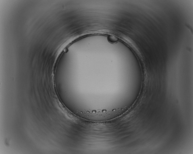 X0000102031332200807180957