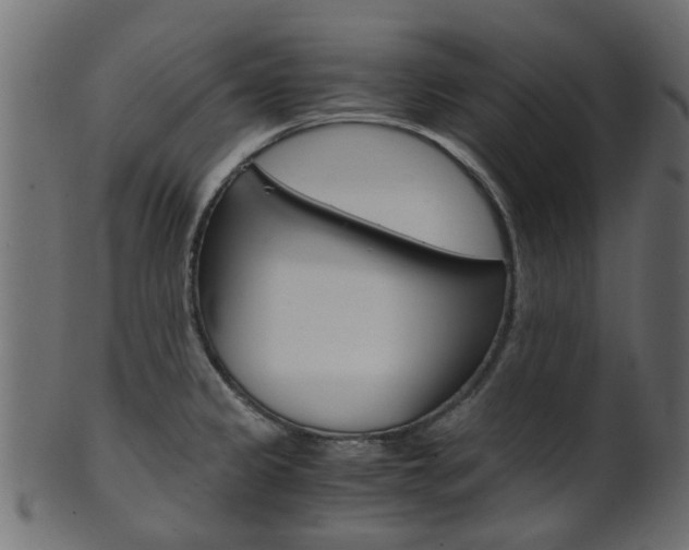 X0000102031333200807180957