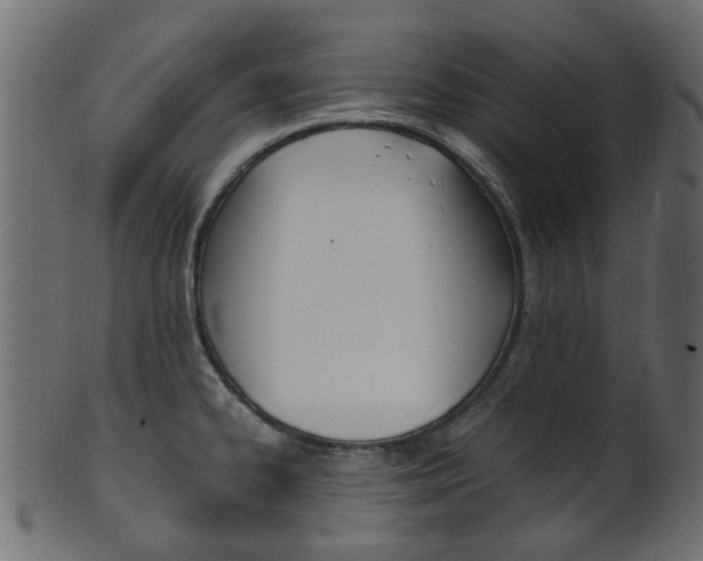 X0000102031334200807180957