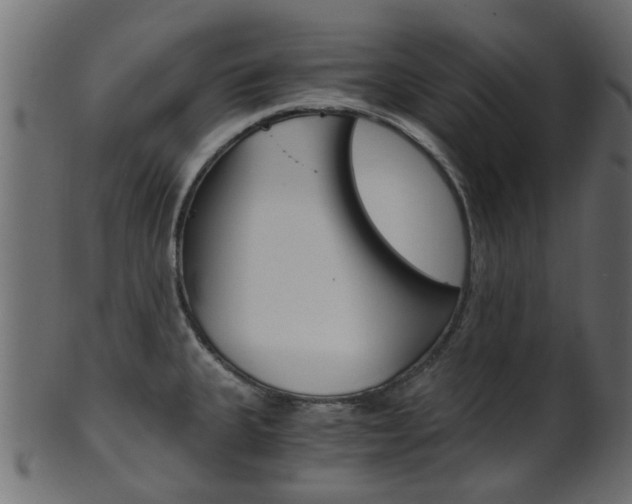 X0000102031335200807180957