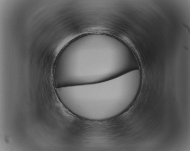 X0000102031336200807180957