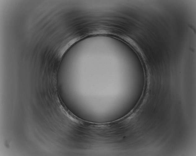 X0000102031337200807180957