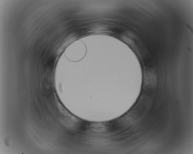 X0000102031338200807180957