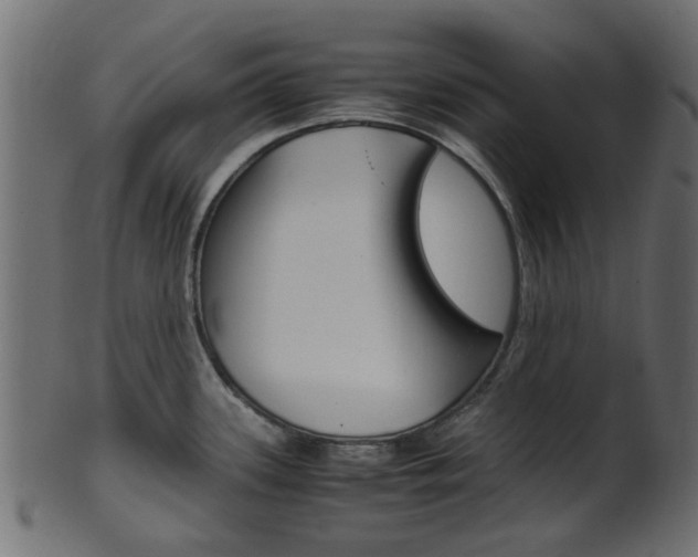 X0000102031339200807180957
