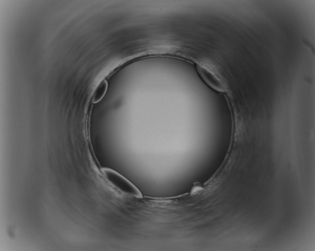 X0000102031342200807180957