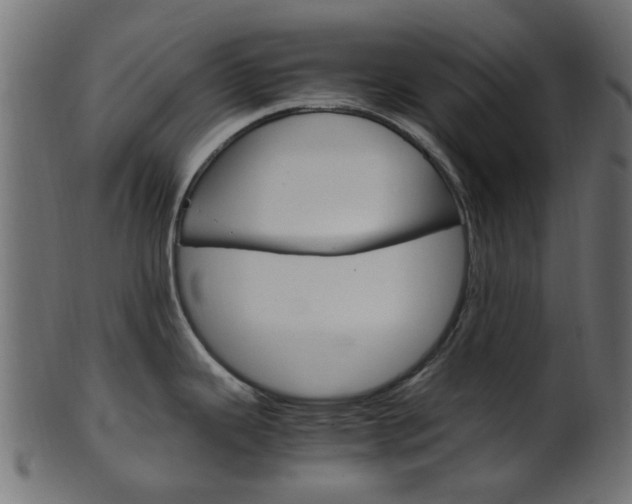 X0000102031343200807180957