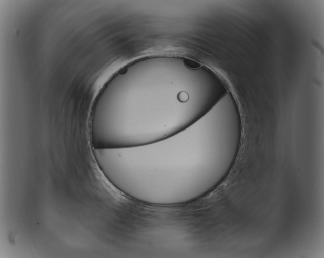 X0000102031344200807180957