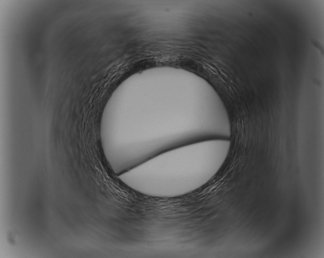 X0000102031345200807180957