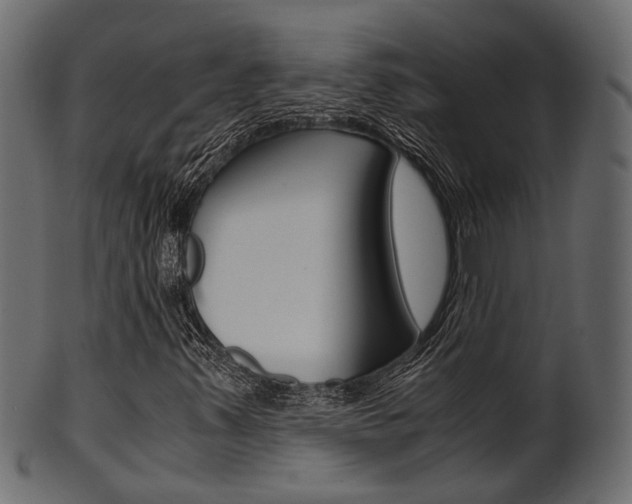 X0000102031347200807180957