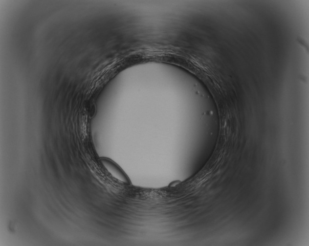 X0000102031348200807180957