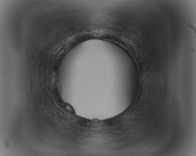 X0000102031349200807180957