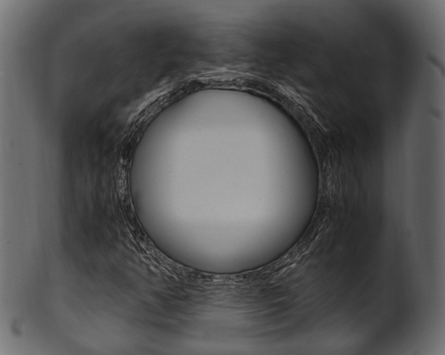 X0000102031350200807180957
