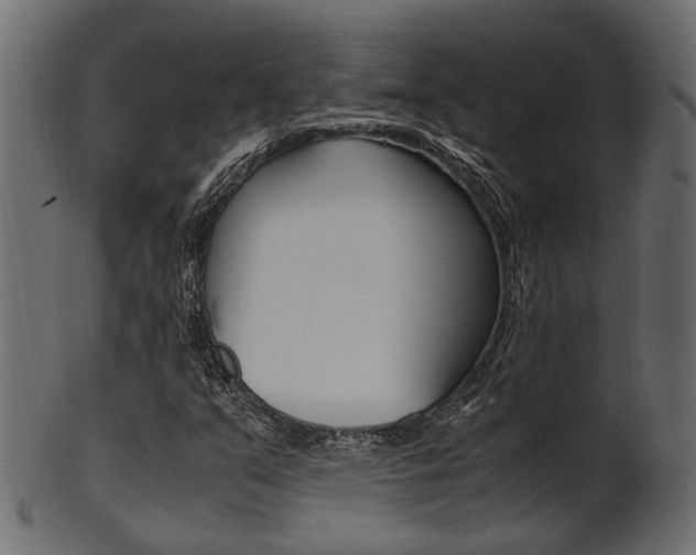 X0000102031351200807180957
