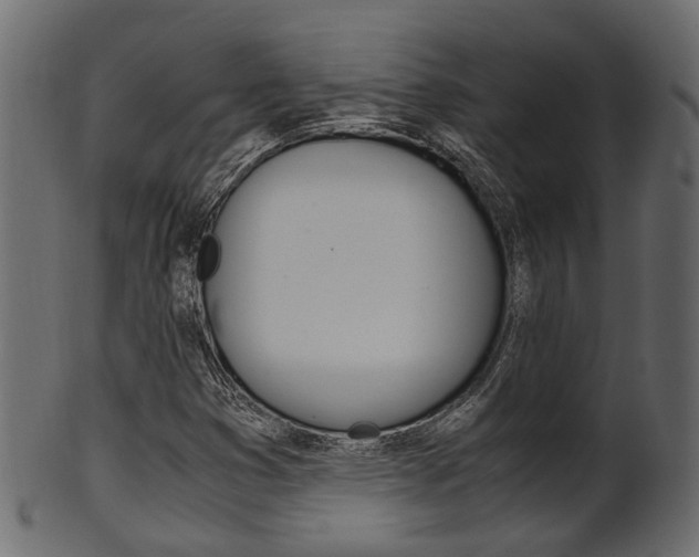 X0000102031353200807180957