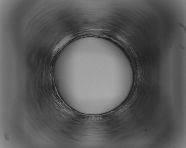 X0000102031354200807180957