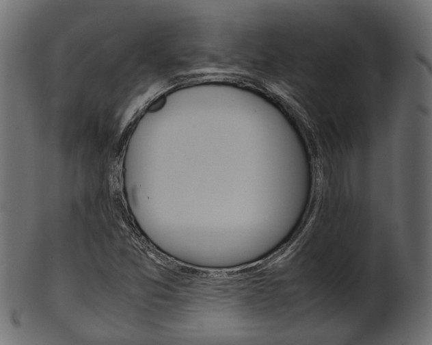 X0000102031357200807180957