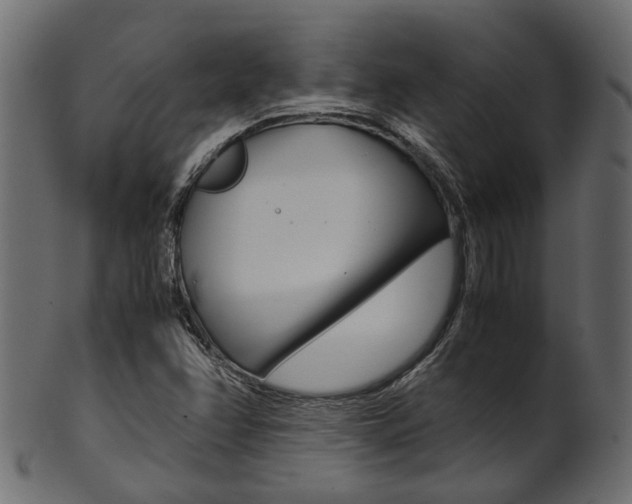 X0000102031358200807180957