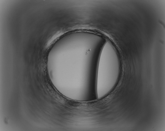 X0000102031359200807180957