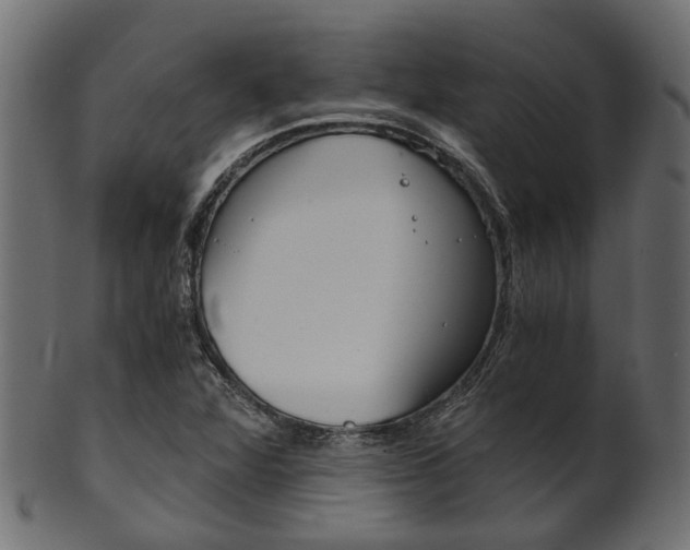 X0000102031360200807180957