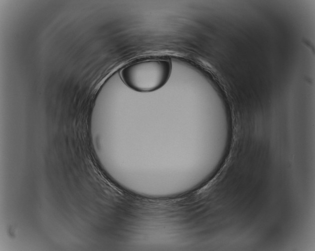 X0000102031361200807180957