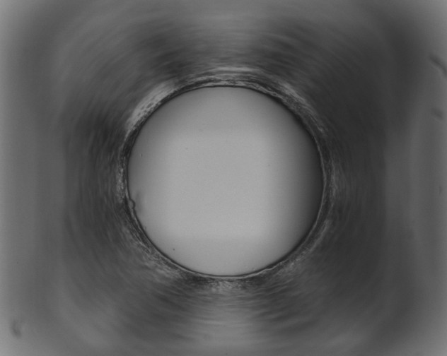 X0000102031362200807180957